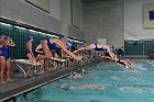 Swimming vs Babson  Wheaton College Swimming vs Babson College. - Photo By: KEITH NORDSTROM : Wheaton, Swimming, Babson